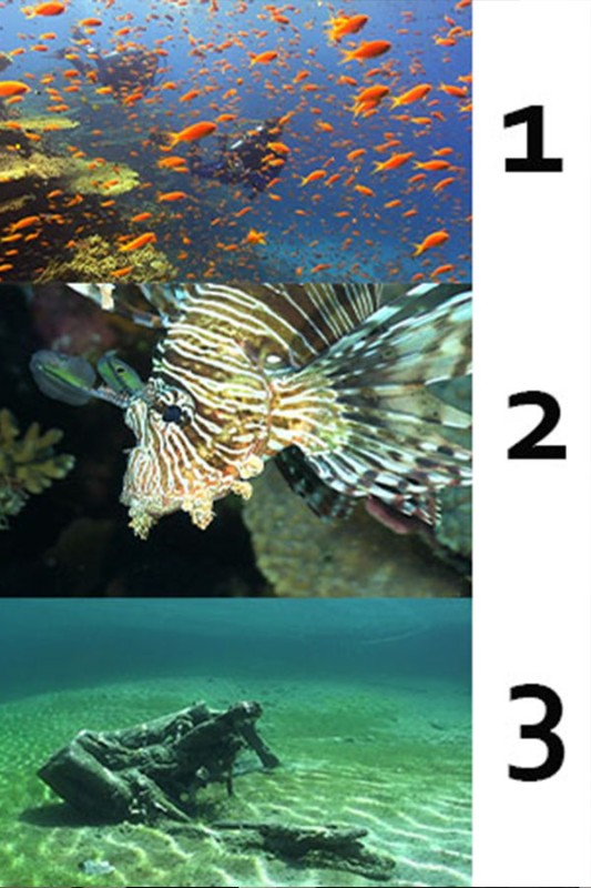 Photo/Video Underwater Camera Set Light & Motion Bluefin+Canon XA 10+Lights