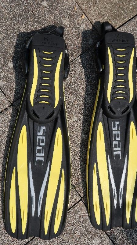 Dive Gear Diving Fins SEAC GP100 50,--      