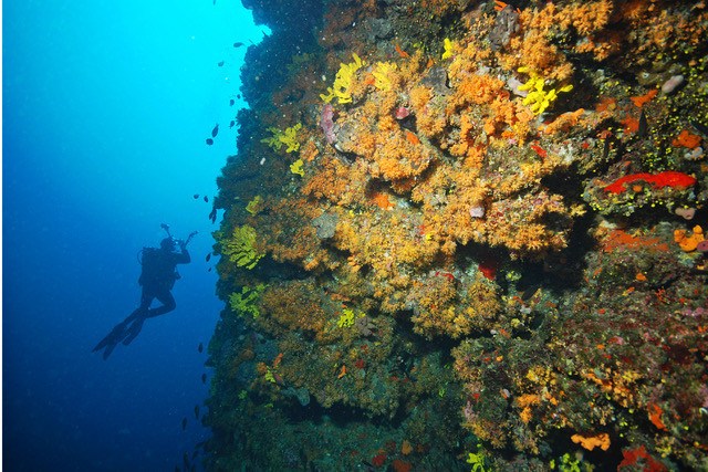 Firmenkauf Tauchbasis auf der Insel Krk in Kroatien zu verkaufen