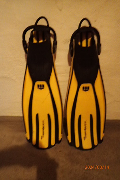 Basic Equipment Mares Quattro device fins in L with new bungee straps