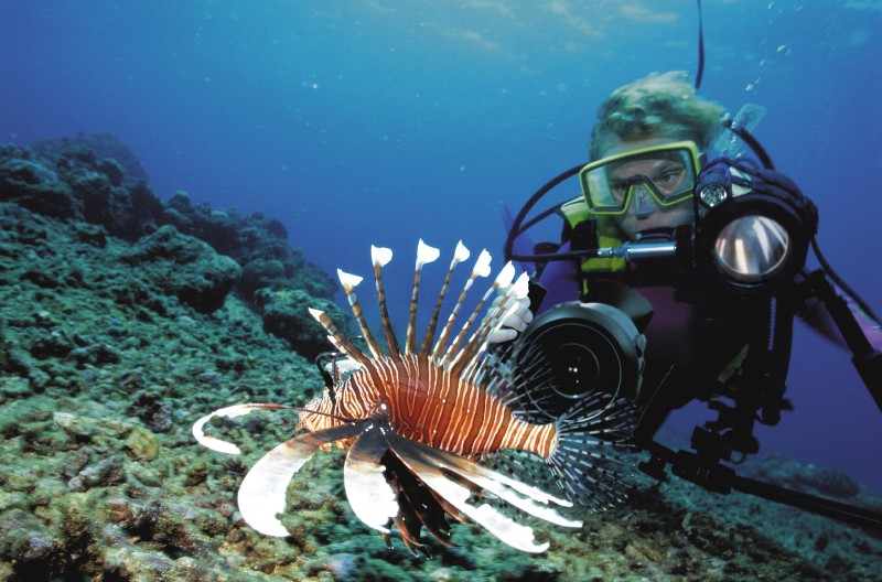 Foto/Video Universelles UW-Gehäuse für viele Camcorder: SILVERFISH